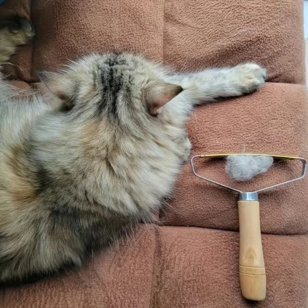 Dog & Cat Hair Removal Brush: Say Goodbye to Pet Hair with 1pc Remover